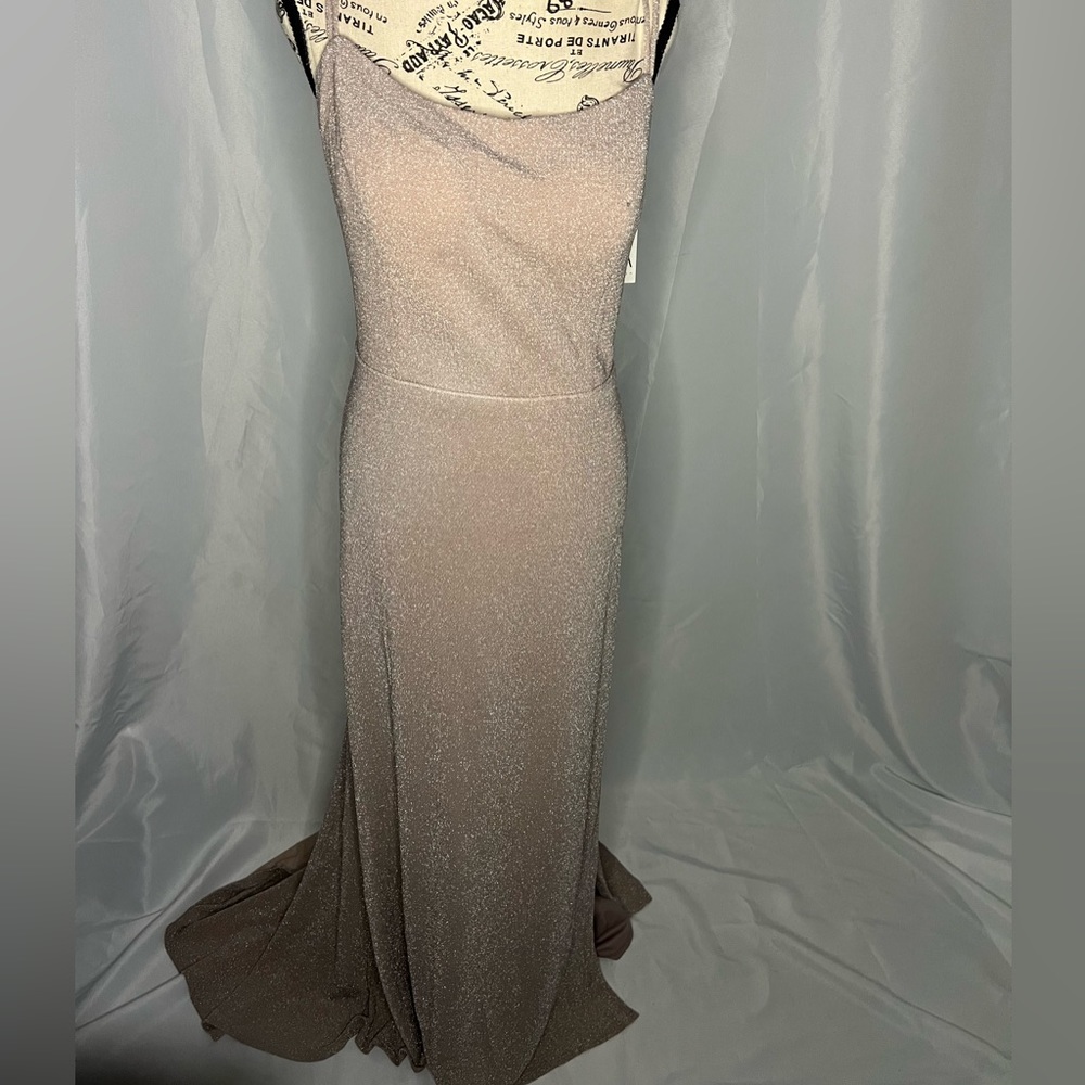 COPY - Mettalic nude gown